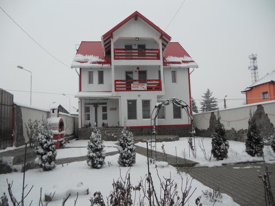 Pensiunea D&D Făgăraş Buitenkant foto